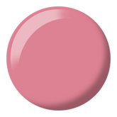 Adobe #608
